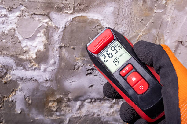 Best Comprehensive Air Testing for Mold Contaminants  in Kershaw, SC